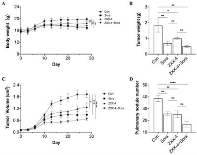 Structure-based virtual screening towards the discovery of novel thrombin inhibitors with Anti-HCC activities